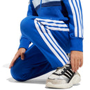 felpa 
