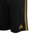 gara third juve 