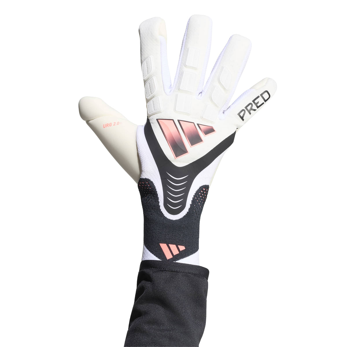 predator pro 
