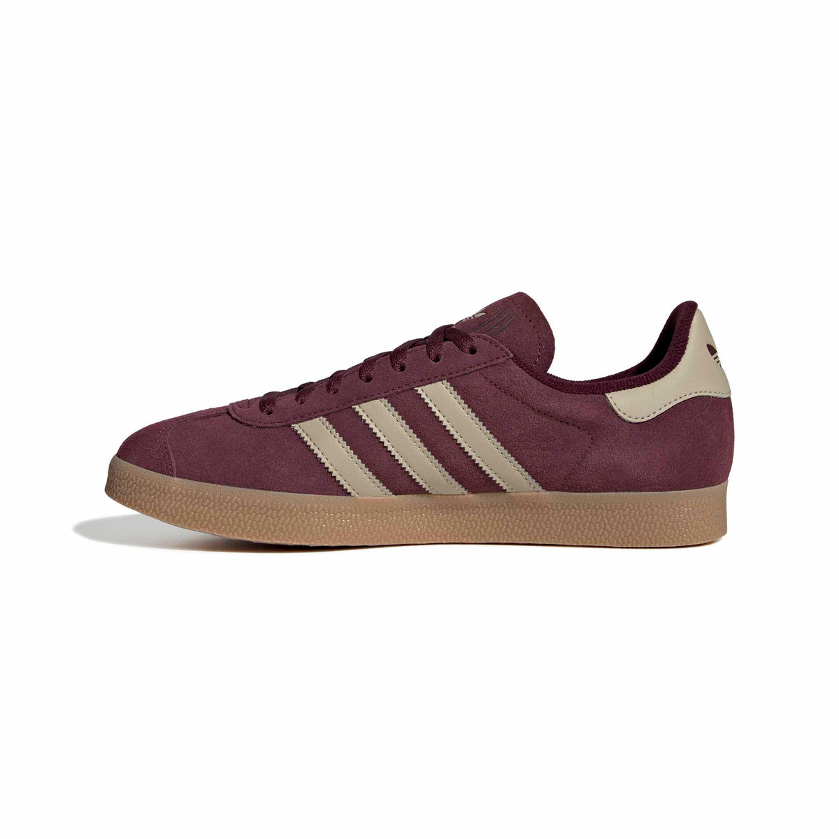 gazelle 