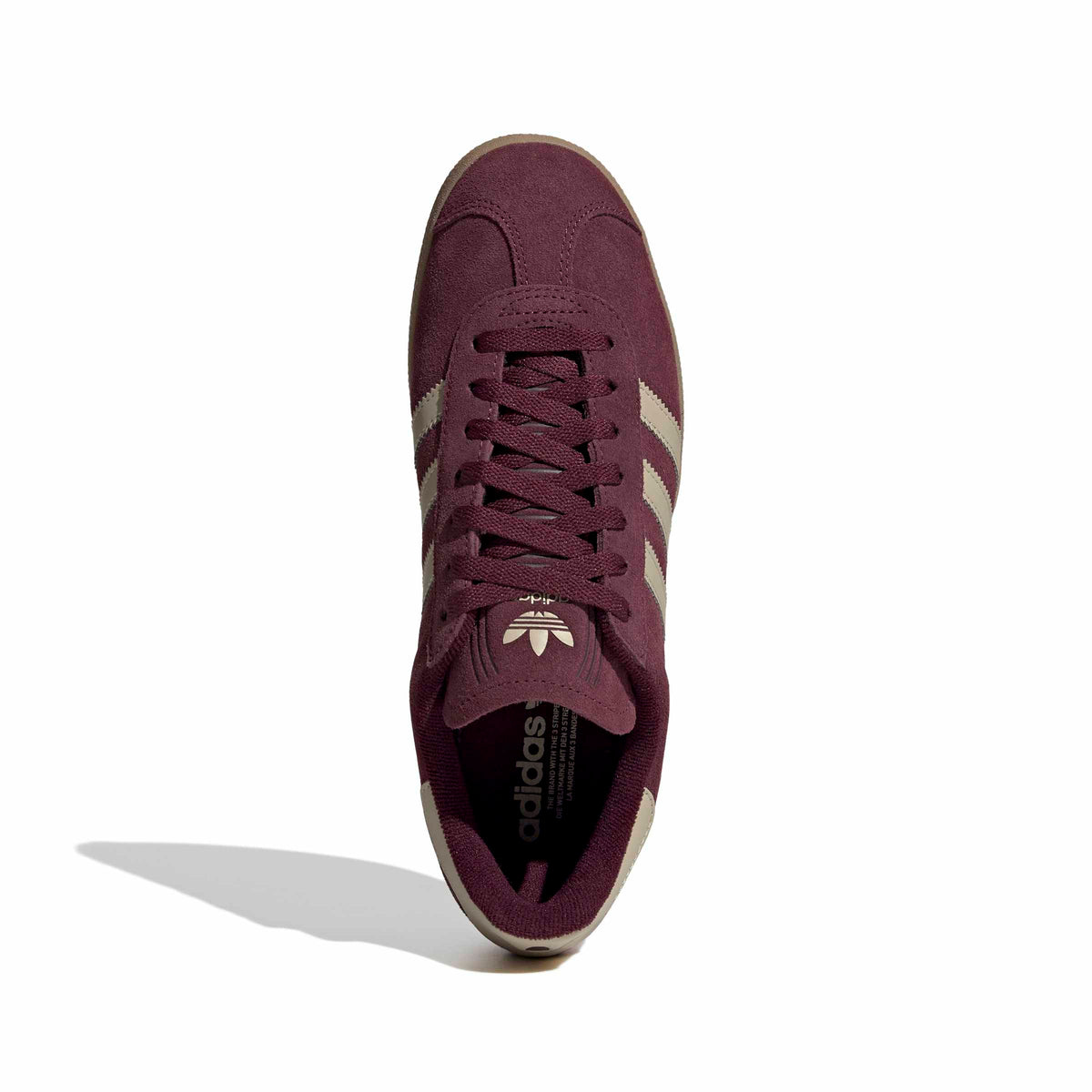 gazelle 