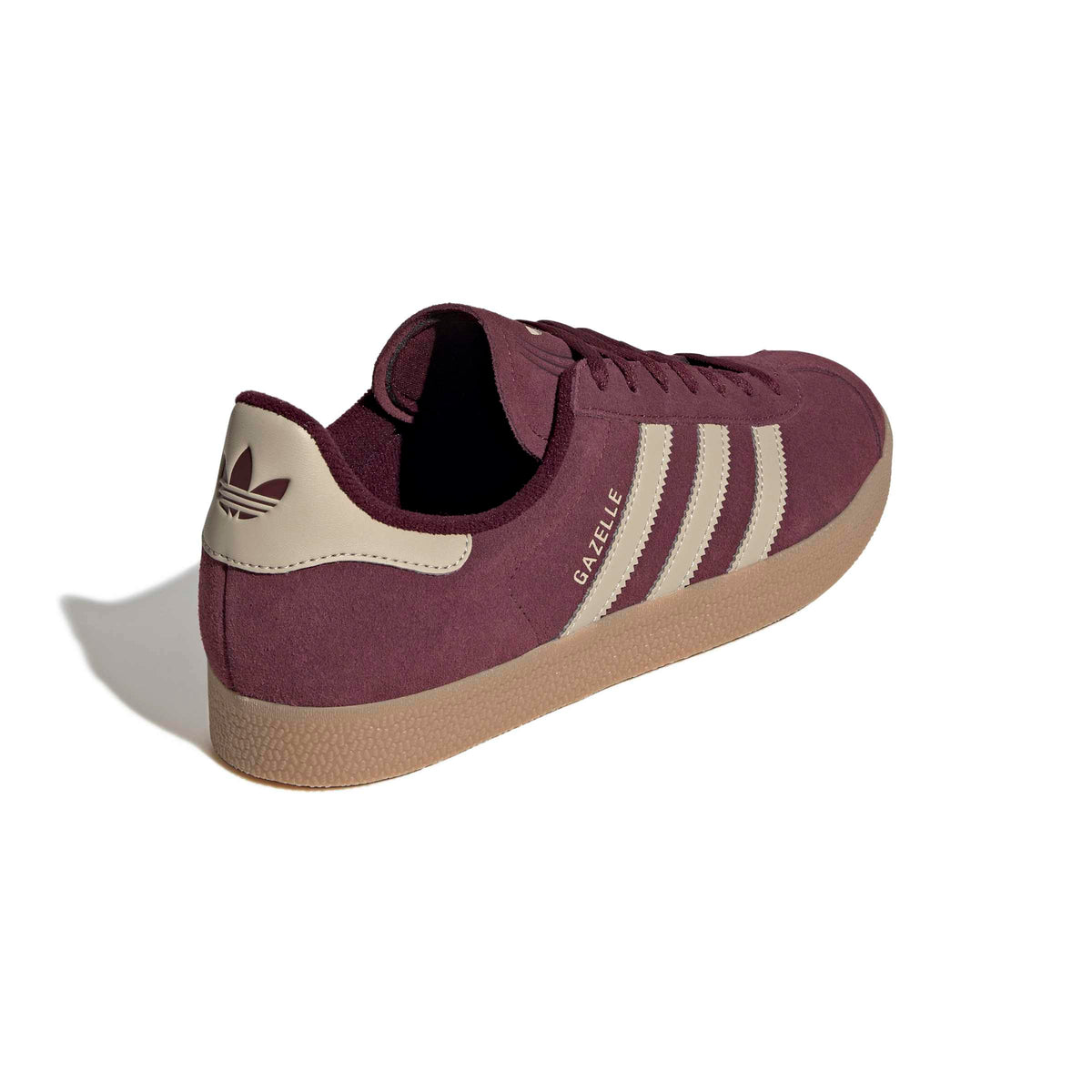gazelle 
