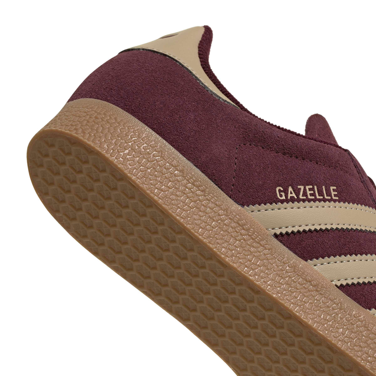 gazelle 