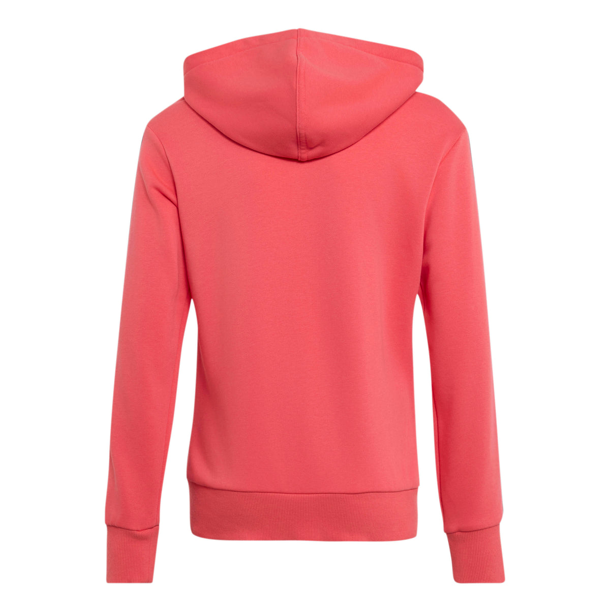 zip lunga cappuccio 