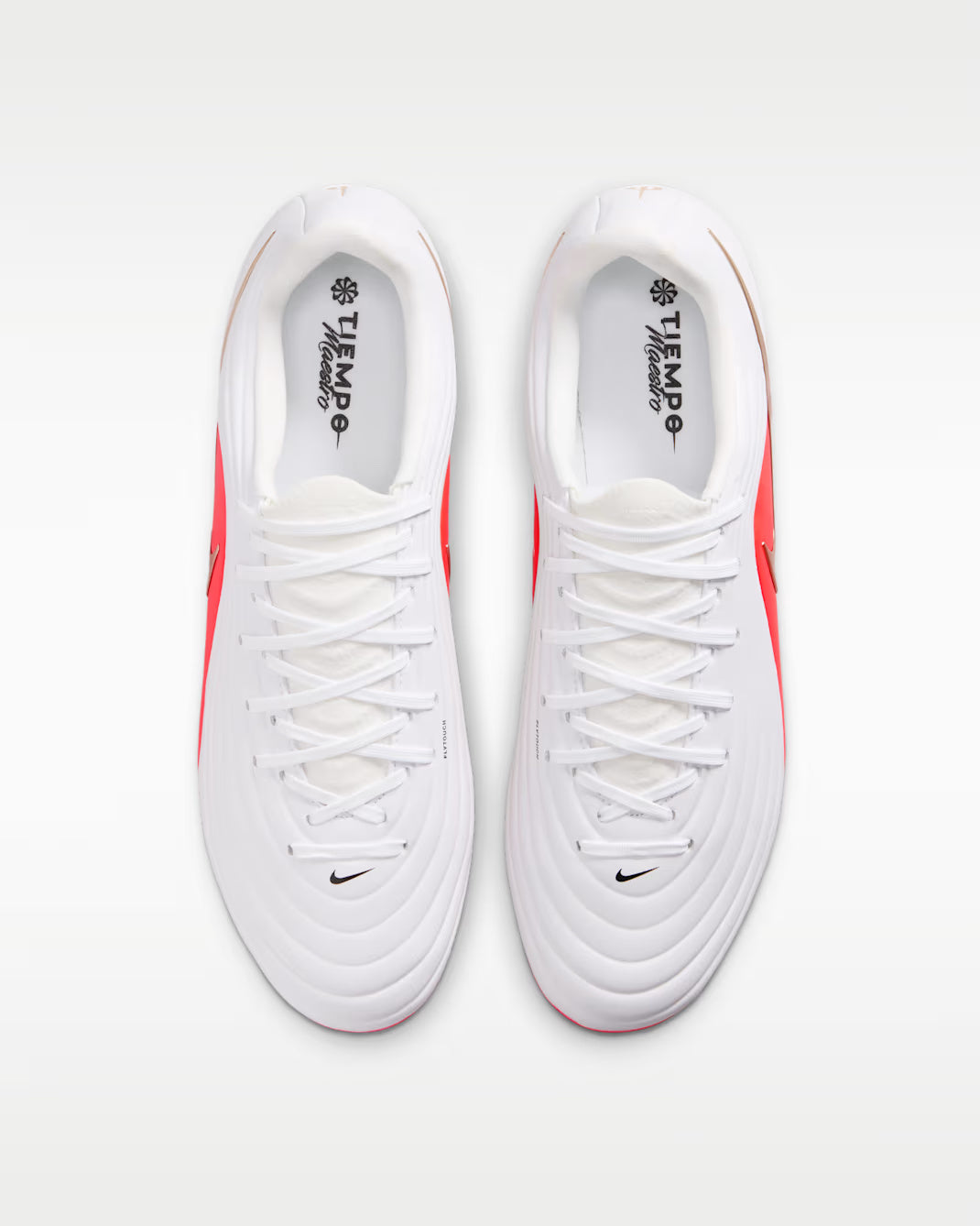 tiempo maestro academy fg/mg 