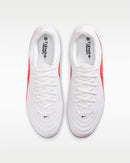 tiempo maestro academy fg/mg 