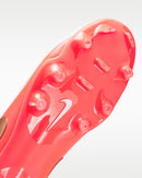tiempo maestro academy fg/mg 