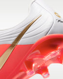 tiempo maestro academy fg/mg 