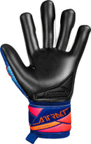 attrakt infinity evolution nc 