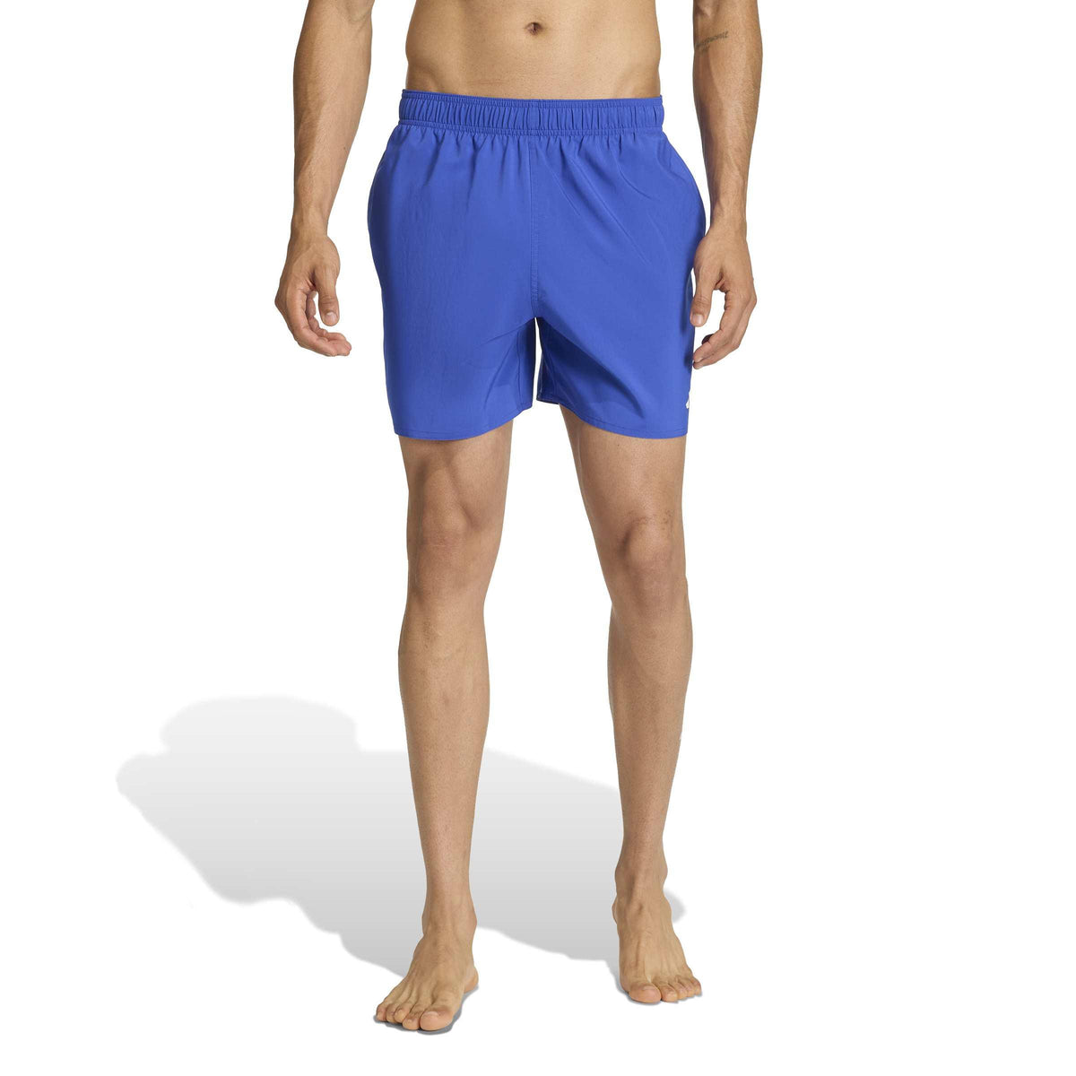 boxer 