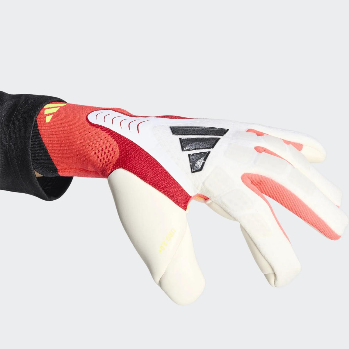 predator pro 
