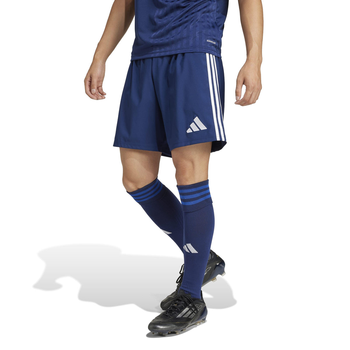 poliestere 
