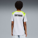 gara away bvb 