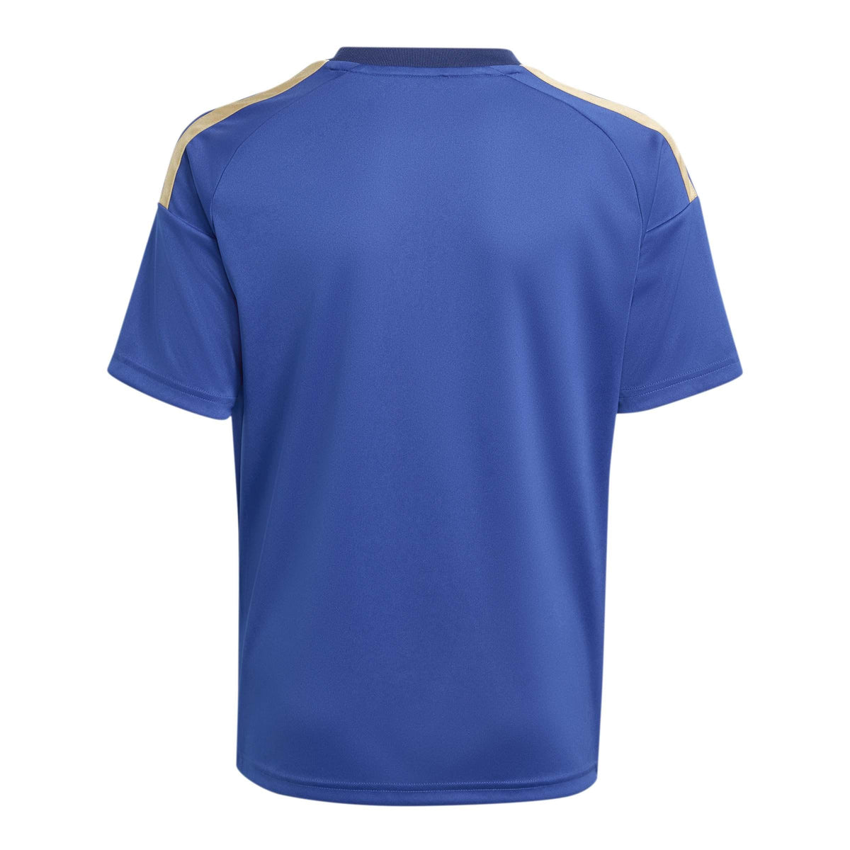 gara home italia replica 