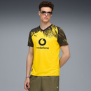 gara home bvb 