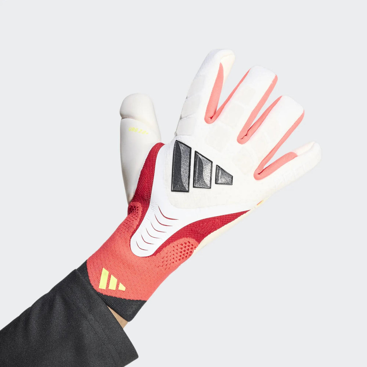 predator pro 