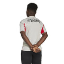 gara away benfica 