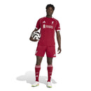 gara home liverpool 