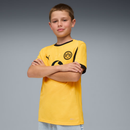 gara away bvb 