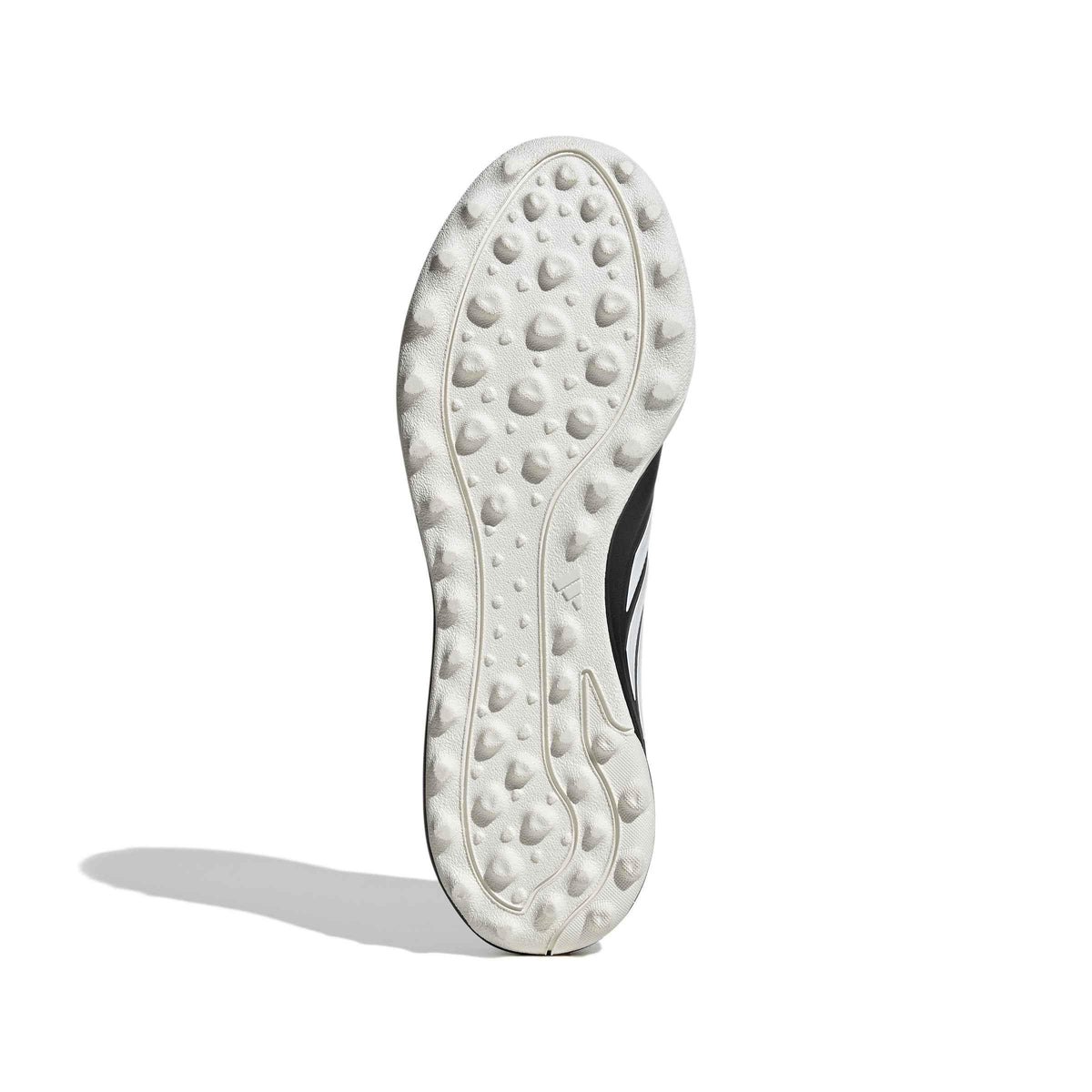 copa pure iv lague tf 