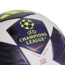 champions finale 