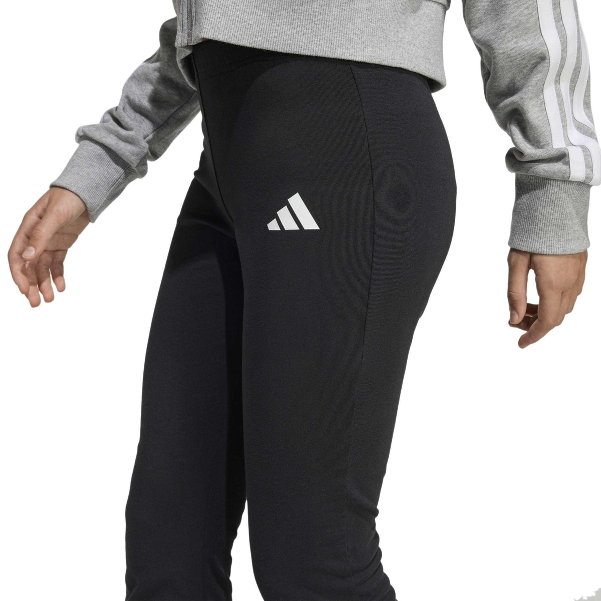 leggings pantajazz 