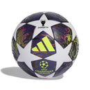 champions finale 