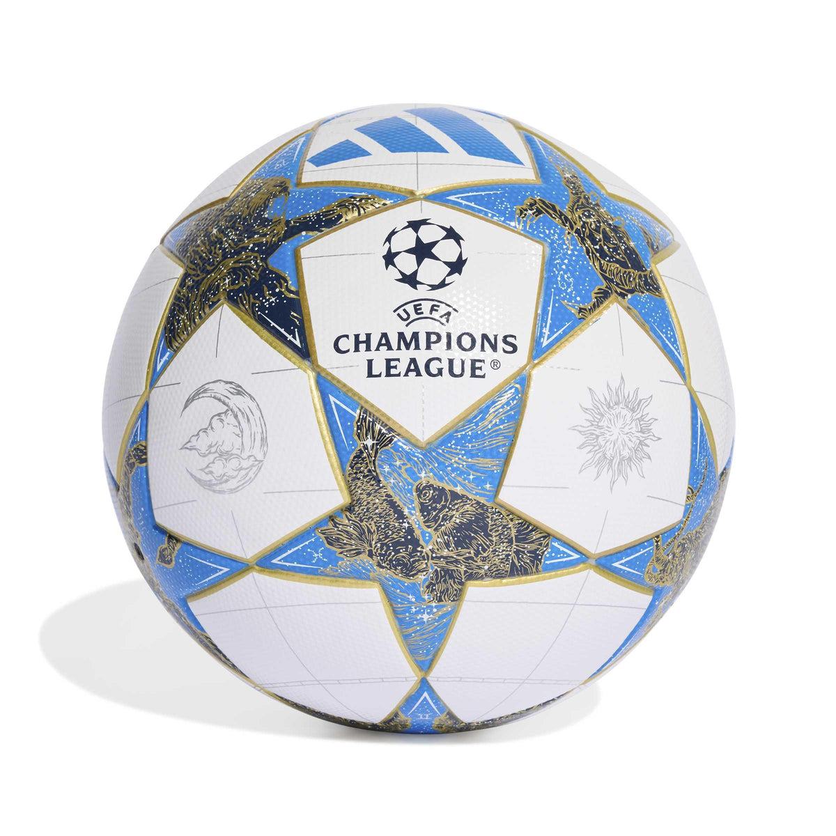 champions box 